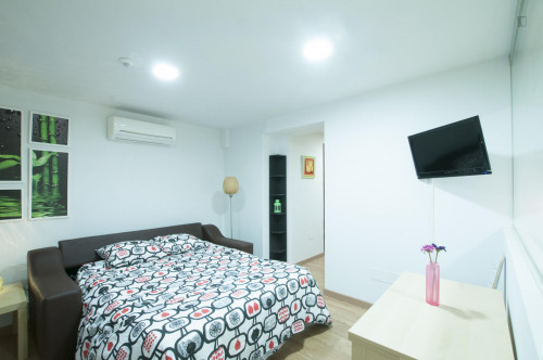 Spotless 1-bedroom apartment next to Plaza del Angel