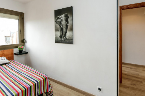 Luminous double bedroom in Collblanc  - Gallery -  3