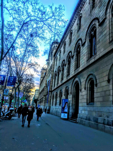 Single bedroom in 4-bedroom apartment