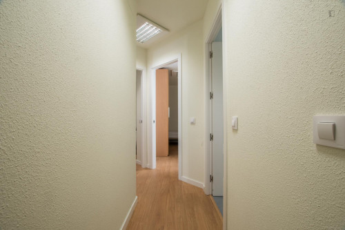 Cosy single bedroom in a 5-bedroom apartment near the Universidad Politécnica de Madrid