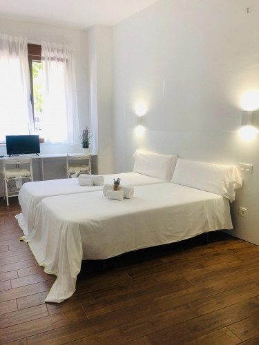  Studio Near Puente Romano  -  Studio near Puente Romano  - Gallery -  1