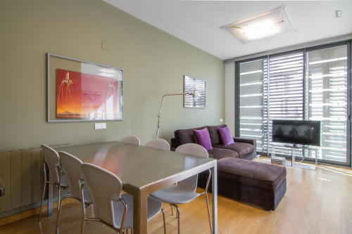  Fantastic 3-Bedroom Apartment Near The Arc De Triomf  -  Fantastic 3-bedroom apartment near the Arc de Triomf  - Gallery -  1