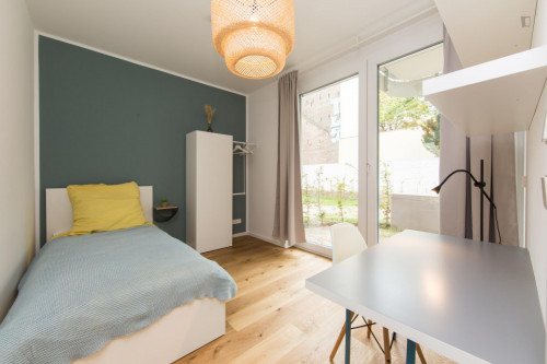  Single Bedroom In 4-Bedroom Apartment  -  Single bedroom in 4-bedroom apartment  - Gallery -  2
