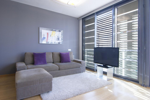  Awesome 3-Bedroom Apartment In L'Eixample  -  Awesome 3-bedroom apartment in L'Eixample  - Gallery -  2