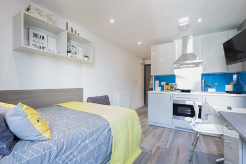  Standard Studio  -  Glendower House  - Gallery -  1