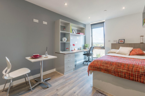  Large Premium Studio  -  Glendower House  - Gallery -  1