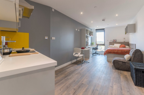  Large Premium Studio  -  Glendower House  - Gallery -  3
