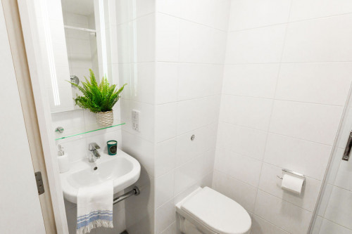  Premium Studio  -  Canterbury Student Manor  - Gallery -  5