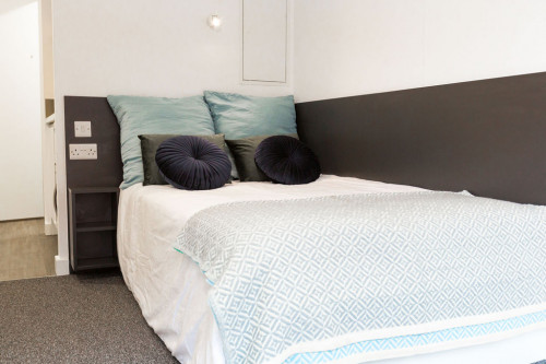  Premium Studio  -  Canterbury Student Manor  - Gallery -  1