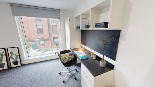  Premium Studio  -  Canterbury Student Manor  - Gallery -  4