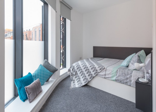  Large Premium Studio  -  Canterbury Student Manor  - Gallery -  4