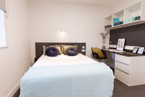  Large Premium Studio  -  Canterbury Student Manor  - Gallery -  3