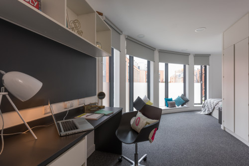  Large Premium Studio  -  Canterbury Student Manor  - Gallery -  5