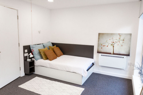  Large Premium Studio Accessible  -  Canterbury Student Manor  - Gallery -  1