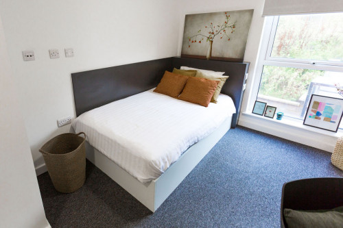  Premium Studio Accessible  -  Canterbury Student Manor  - Gallery -  1