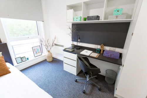  Premium Studio Accessible  -  Canterbury Student Manor  - Gallery -  3