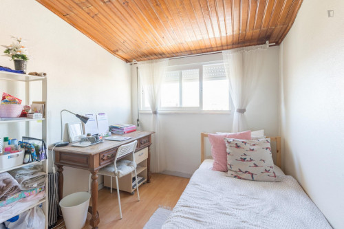  Roomy Double Bedroom In Cedofeita  -  Roomy double bedroom in Cedofeita  - Gallery -  2