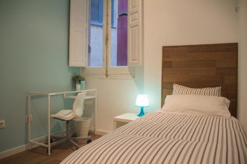  Welcoming Single Bedroom In The Lavapiés Neighbourhood  -  Welcoming single bedroom in the Lavapiés neighbourhood  - Gallery -  1