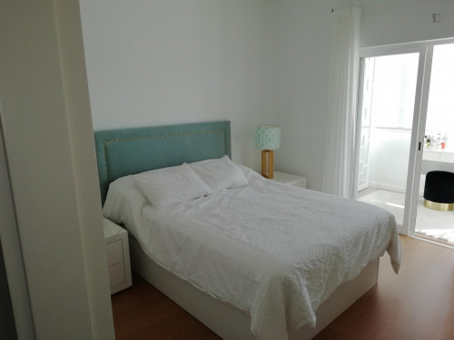  1-Bedroom Apartment  -  1-bedroom apartment  - Gallery -  1
