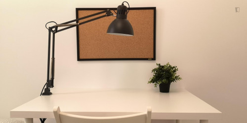  Welcoming Single Bedroom In Gaztambide  -  Welcoming single bedroom in Gaztambide  - Gallery -  1