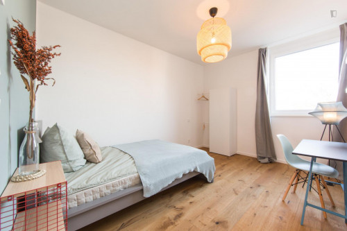  Double Bedroom In 4-Bedroom Apartment  -  Double bedroom in 4-bedroom apartment  - Gallery -  2