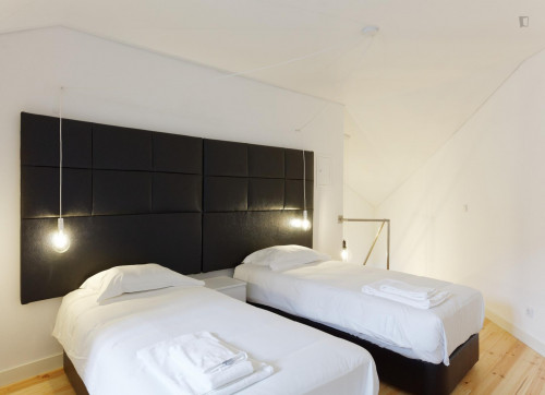  1-Bedroom Apartment Principe Real  -  1-Bedroom apartment near Jardim Botânico de Lisboa  - Gallery -  2