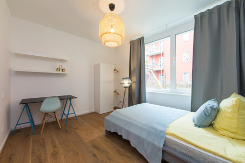  Double Bedroom In 4-Bedroom Apartment  -  Double bedroom in 4-bedroom apartment  - Gallery -  2
