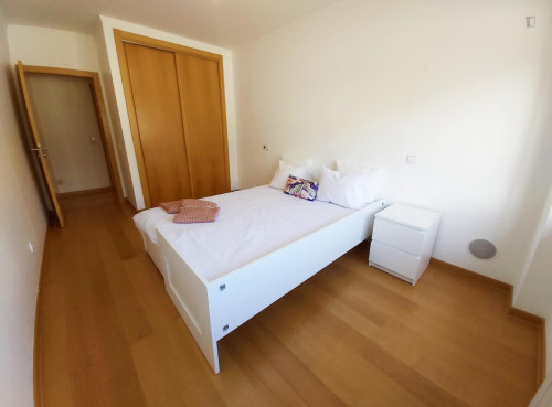  2-Bedroom Apartment Near Escola Superior De Comunicação Social (ESCS)  -  2-Bedroom apartment near Escola Superior de Comunicação Social (ESCS)  - Gallery -  1