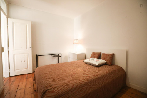  Nice Double Bedroom In A 5-Bedroom Apartment  -  Nice double bedroom in a 5-bedroom apartment  - Gallery -  1