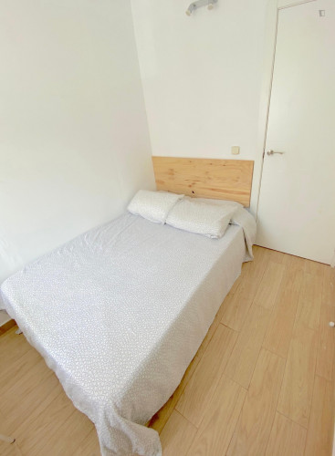  Sunny Room Near Center With Double Bed, WIFI And TV For Students  -  Sunny room near center with double bed, WIFI and TV for students  - Gallery -  2