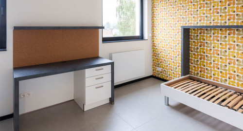 Hey Upkot - Gallery - 20