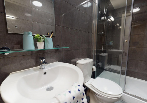  Bronze Studio Plus  -  iQ Magenta House  - Gallery -  5