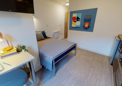 Bronze Studio Plus  -  iQ Magenta House  - Gallery -  3