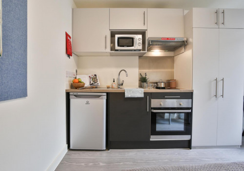  Bronze Studio Premium  -  iQ Magenta House  - Gallery -  4