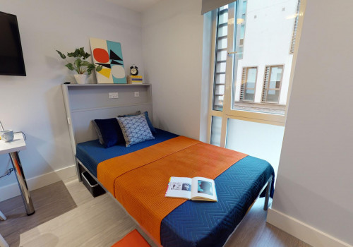  Bronze Studio Premium  -  iQ Magenta House  - Gallery -  1