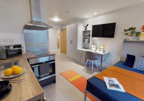  Bronze Studio Premium  -  iQ Magenta House  - Gallery -  5