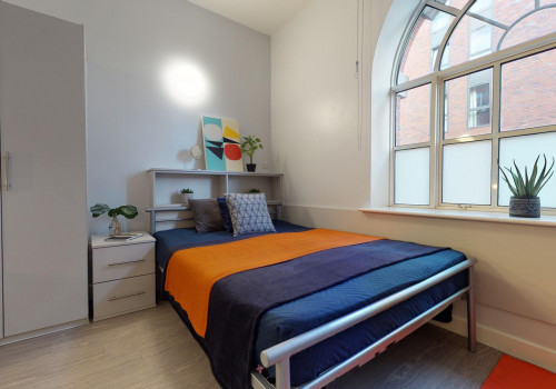  Bronze Studio Plus  -  iQ Studios 51  - Gallery -  1