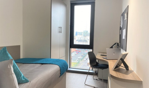  اونسويت برونز  -  جريت باتريك ستريت  - Gallery -  1