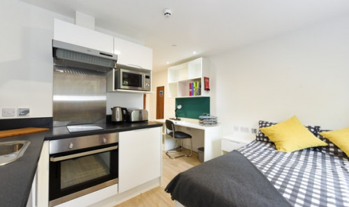  Studio Bronze  -  Vincent Place Roost  - Gallery -  1