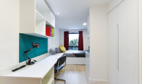  Studio Bronze  -  Vincent Place Roost  - Gallery -  5