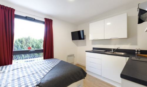  Studio Bronze  -  Vincent Place Roost  - Gallery -  2