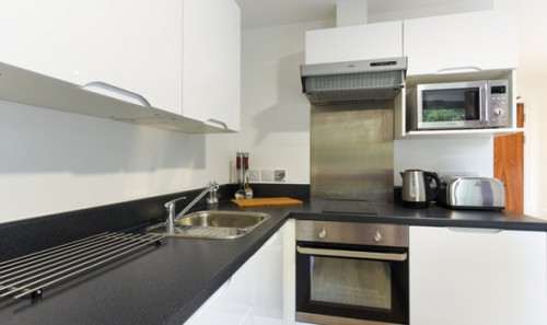  Studio Bronze  -  Vincent Place Roost  - Gallery -  3