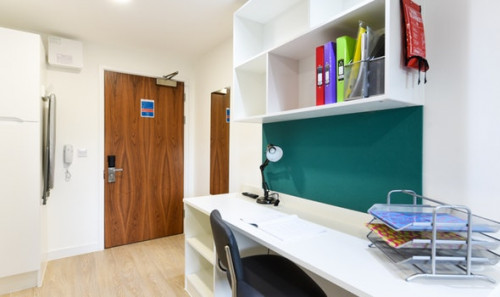  Studio Bronze  -  Vincent Place Roost  - Gallery -  4