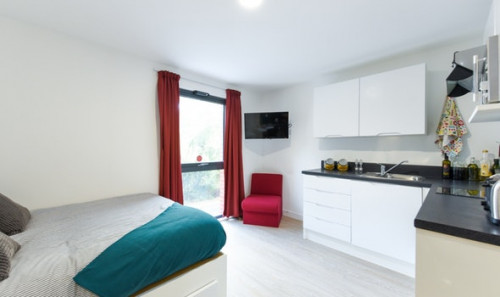  Studio Silver  -  Vincent Place Roost  - Gallery -  2