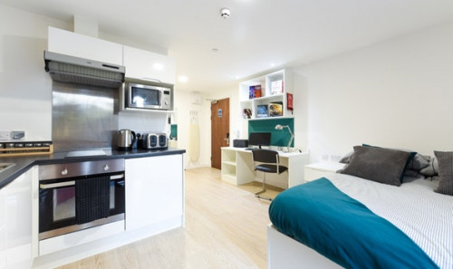  Studio Silver  -  Vincent Place Roost  - Gallery -  1