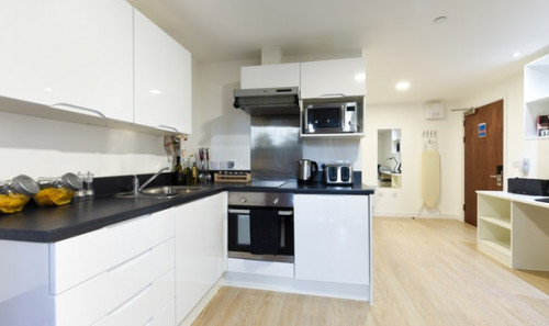  Studio Silver  -  Vincent Place Roost  - Gallery -  5