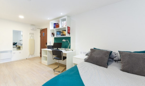  Studio Silver  -  Vincent Place Roost  - Gallery -  3