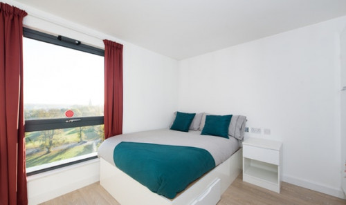  Studio Gold  -  Vincent Place Roost  - Gallery -  1