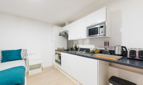  Studio Gold  -  Vincent Place Roost  - Gallery -  3