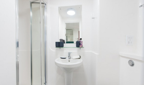  Studio Gold  -  Vincent Place Roost  - Gallery -  2